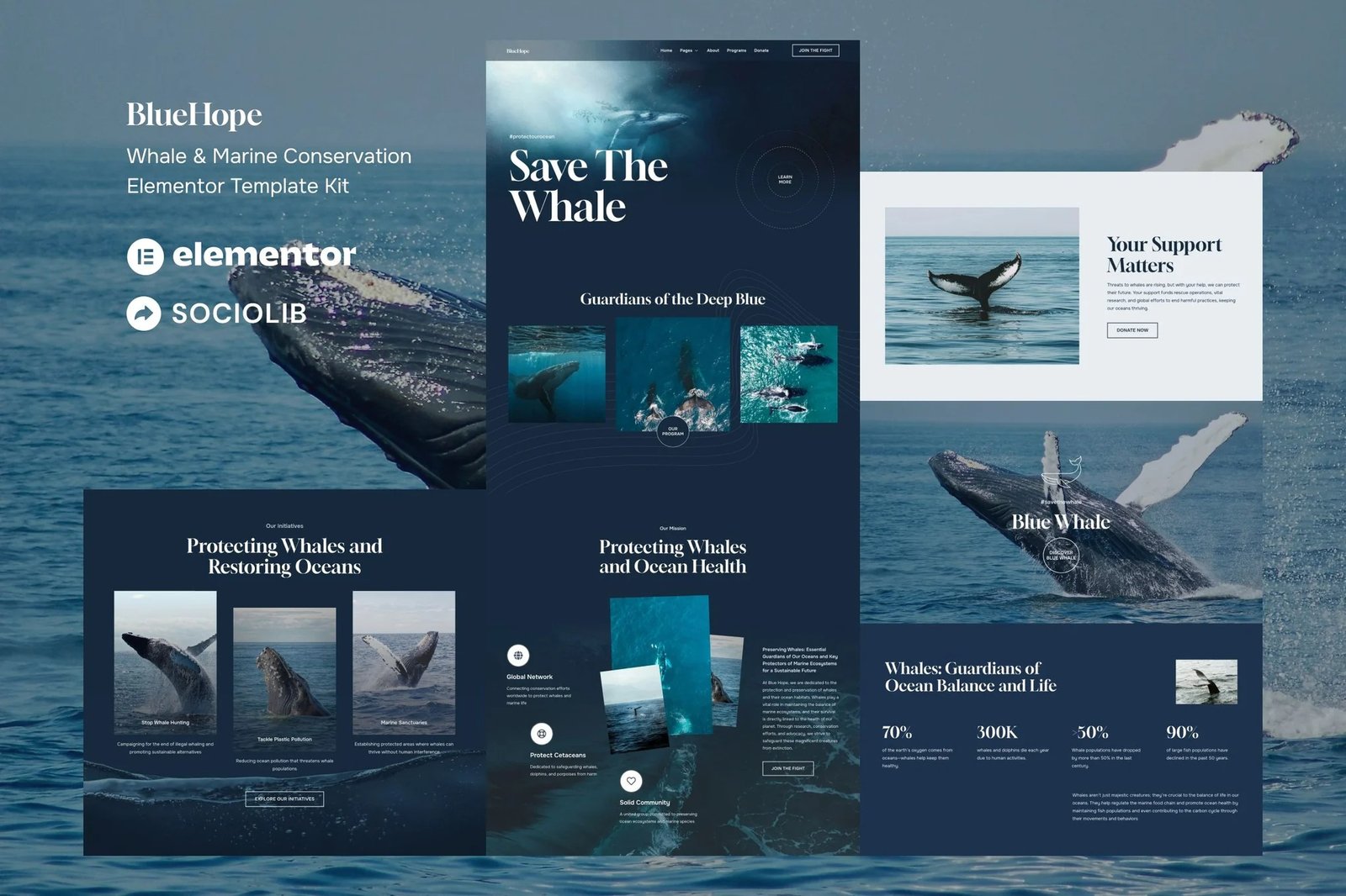 BlueHope-Whale-Marine-Conservation-Elementor-Template-Kit.jpg BlueHope - Whale & Marine Conservation Elementor Template Kit - Image 1