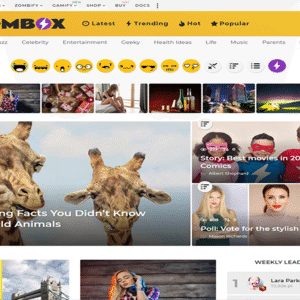 BoomBox 2.9.6 - Viral Magazine WordPress Theme
