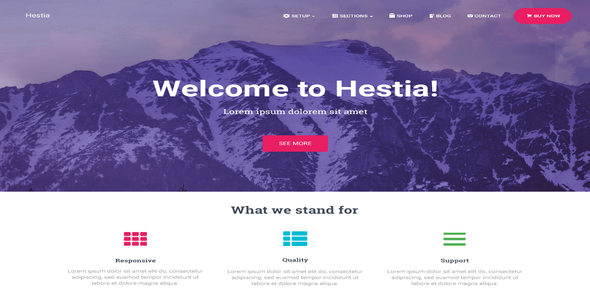 Hestia-Pro.webp Hestia Pro 3.1.1 WordPress Theme - Image 1