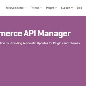 WooCommerce API Manager 3.2.4