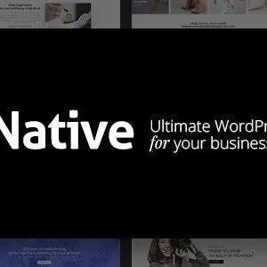 Native 1.7.11 – Stylish Multi-Purpose Creative Theme