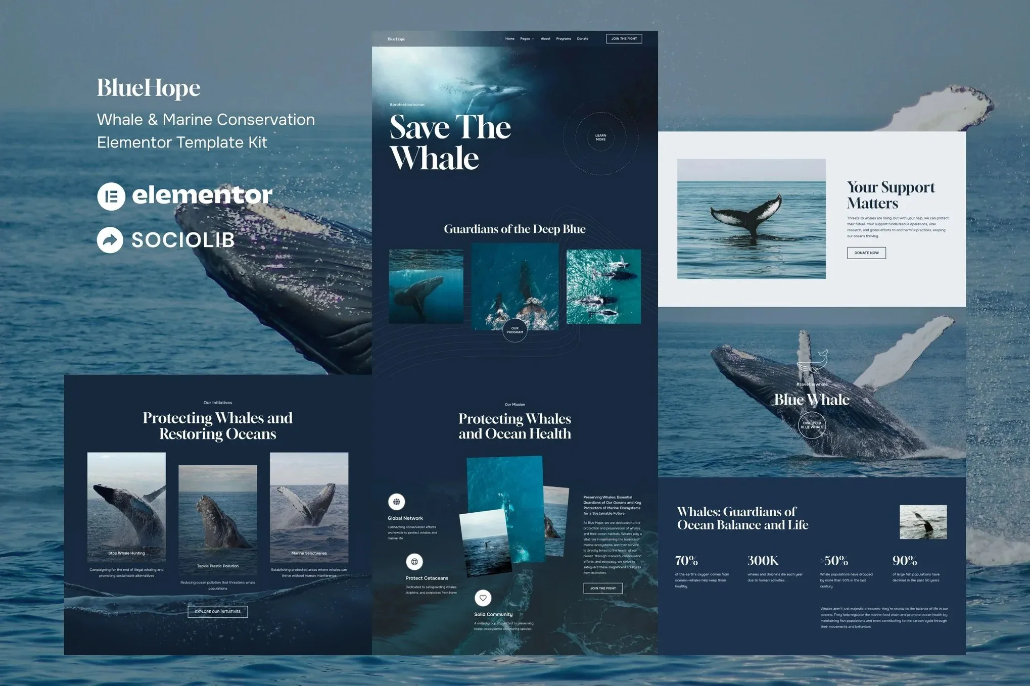 BlueHope-Whale-Marine-Conservation-Elementor-Template-Kit.webp BlueHope - Whale & Marine Conservation Elementor Template Kit - Image 1