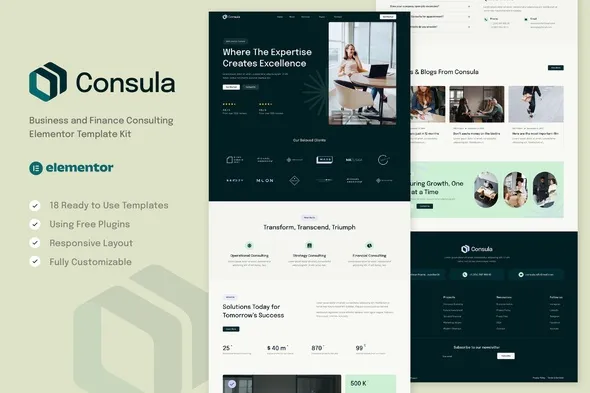 Cover-95.webp Consula - Business and Finance Consulting Elementor Template Kit - Image 1