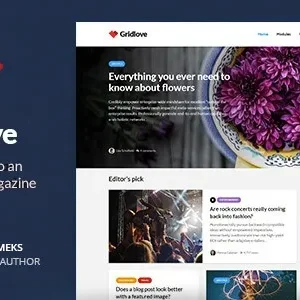 Gridlove 2.1 - Creative Grid Style News & Magazine WordPress Theme