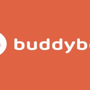 BuddyBoss LearnDash 1.1.0