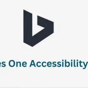 BDThemes One Accessibility Pro 1.6.8
